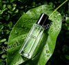 Wholesale OEM Parfum Spray 10ml Sample Custom Fragrance Floral Eco-Friendly Long-Lasting Private Label Service Global