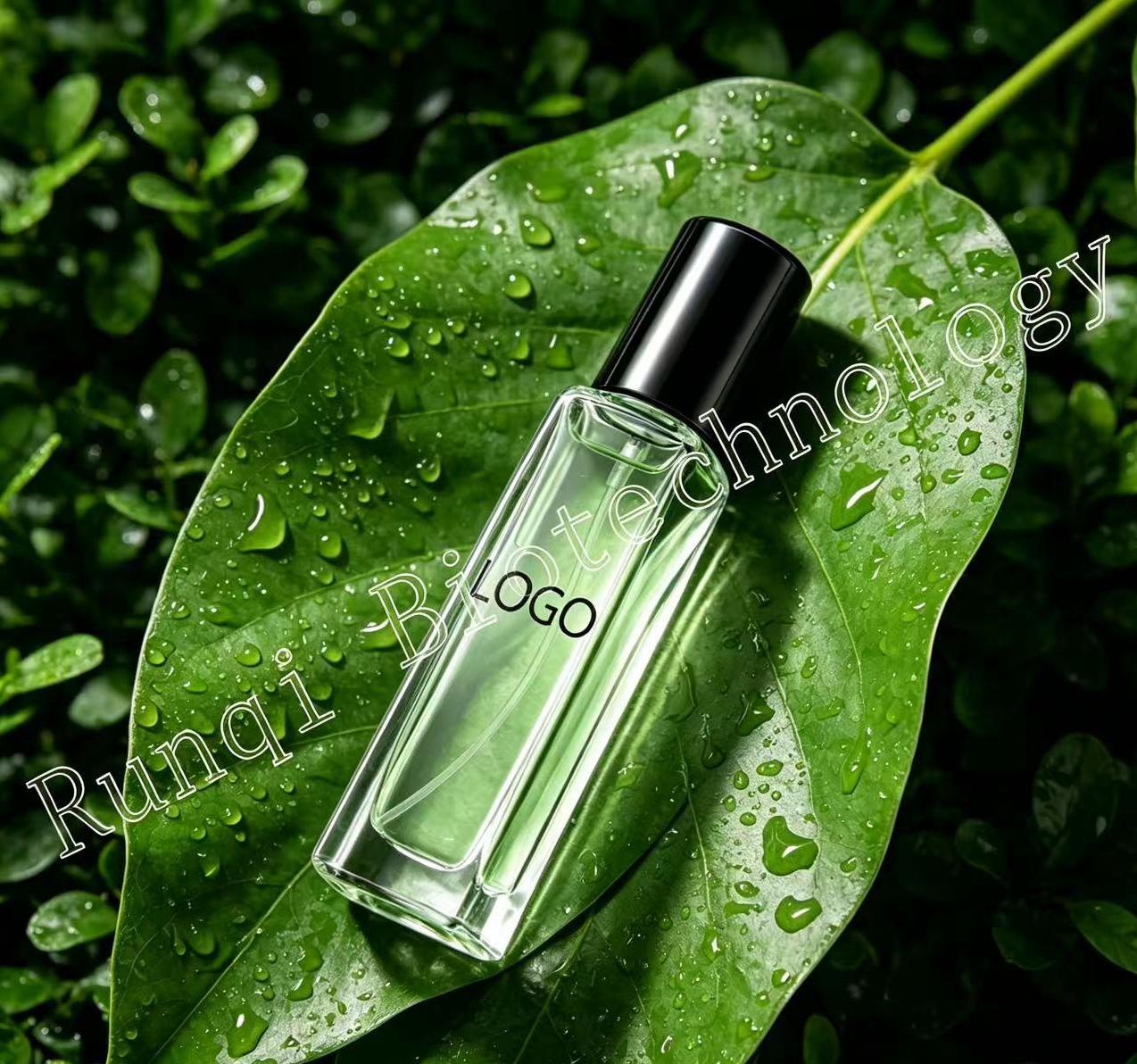 Wholesale OEM Parfum Spray 10ml Sample Custom Fragrance Floral Eco-Friendly Long-Lasting Private Label Service Global