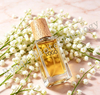 Luxury Lemon Citrus Fruity Eau Fraiche Perfume Spray 50ml Long Lasting Mild Fragrance Niche Designer Support Cross-border OEM