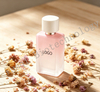 Ladies OEM Niche Light Fragrance Regular Size Spray Fruity Fresh Scent Long Lasting | Bulk Wholesale