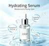 2% Alpha Arbutin & Hyaluronic Acid Serum, Hydrating & Moisturizing Facial Serum, Even Out Skin Tone, Diminish Dark Spots & Pigmentation for Daily Skin Care